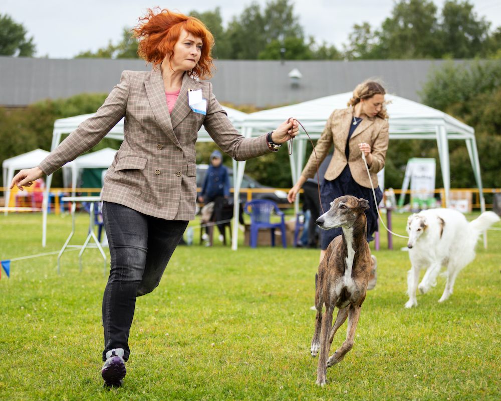 Question of the Week